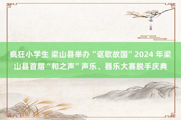 疯狂小学生 梁山县举办“讴歌故国”2024 年梁山县首届“和之声”声乐、器乐大赛脱手庆典