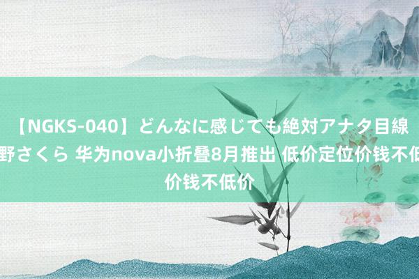 【NGKS-040】どんなに感じても絶対アナタ目線 春野さくら 华为nova小折叠8月推出 低价定位价钱不低价