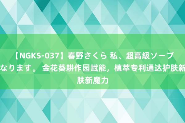 【NGKS-037】春野さくら 私、超高級ソープ嬢になります。 金花葵耕作园赋能，植萃专利通达护肤新魔力