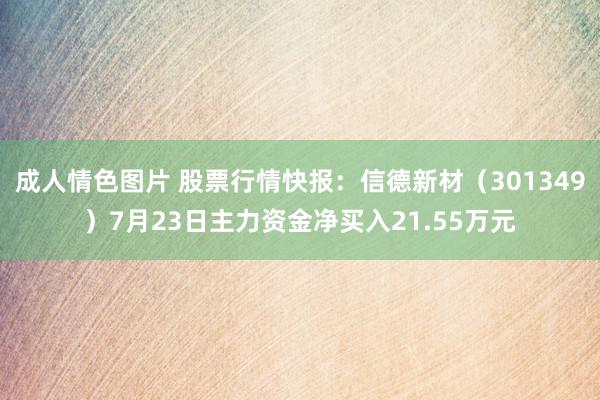 成人情色图片 股票行情快报：信德新材（301349）7月23日主力资金净买入21.55万元