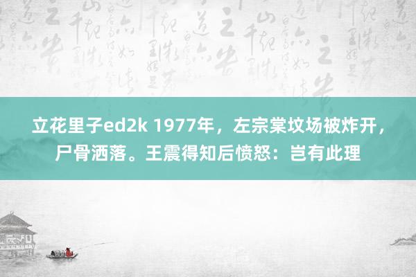 立花里子ed2k 1977年，左宗棠坟场被炸开，尸骨洒落。王震得知后愤怒：岂有此理