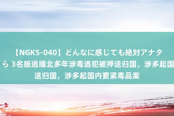 【NGKS-040】どんなに感じても絶対アナタ目線 春野さくら 3名叛逃缅北多年涉毒逃犯被押送归国，涉多起国内要紧毒品案