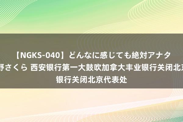 【NGKS-040】どんなに感じても絶対アナタ目線 春野さくら 西安银行第一大鼓吹加拿大丰业银行关闭北京代表处