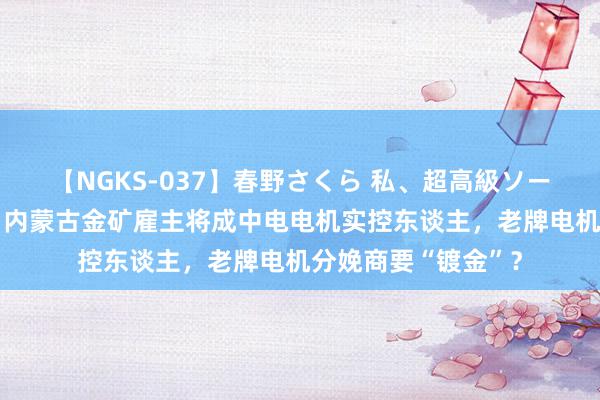 【NGKS-037】春野さくら 私、超高級ソープ嬢になります。 内蒙古金矿雇主将成中电电机实控东谈主，老牌电机分娩商要“镀金”？