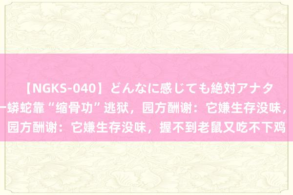 【NGKS-040】どんなに感じても絶対アナタ目線 春野さくら 福建一蟒蛇靠“缩骨功”逃狱，园方酬谢：它嫌生存没味，握不到老鼠又吃不下鸡