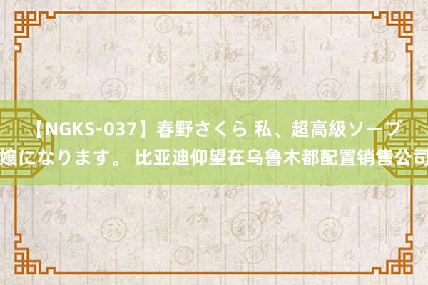 【NGKS-037】春野さくら 私、超高級ソープ嬢になります。 比亚迪仰望在乌鲁木都配置销售公司