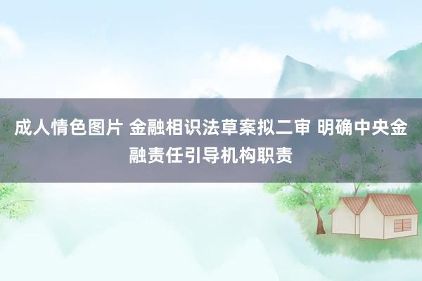 成人情色图片 金融相识法草案拟二审 明确中央金融责任引导机构职责