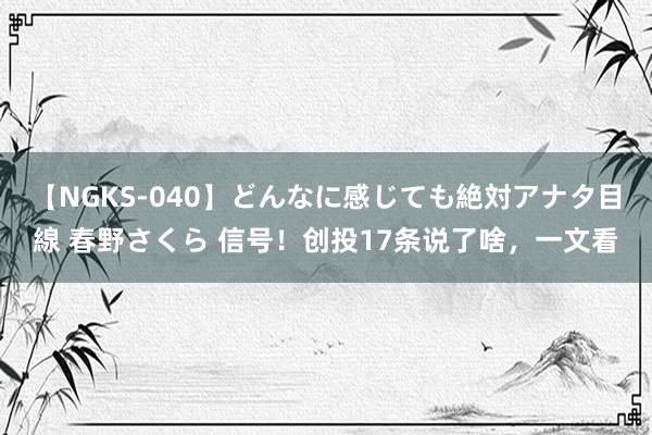 【NGKS-040】どんなに感じても絶対アナタ目線 春野さくら 信号！创投17条说了啥，一文看