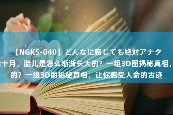 【NGKS-040】どんなに感じても絶対アナタ目線 春野さくら 怀胎十月，胎儿是怎么渐渐长大的？一组3D图揭秘真相，让你感受人命的古迹