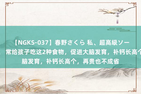 【NGKS-037】春野さくら 私、超高級ソープ嬢になります。 常给孩子吃这2种食物，促进大脑发育，补钙长高个，再贵也不成省