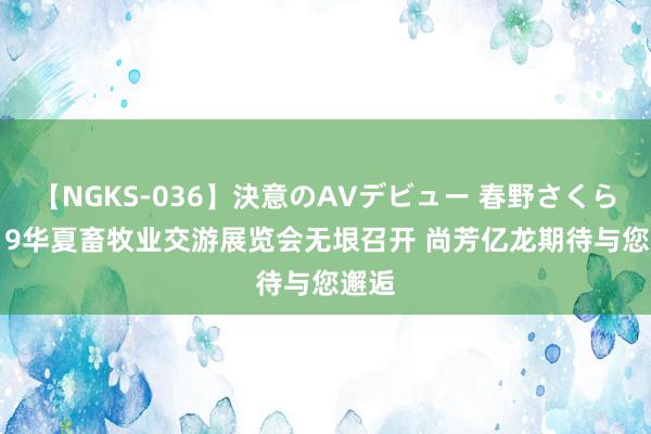 【NGKS-036】決意のAVデビュー 春野さくら 2019华夏畜牧业交游展览会无垠召开 尚芳亿龙期待与您邂逅