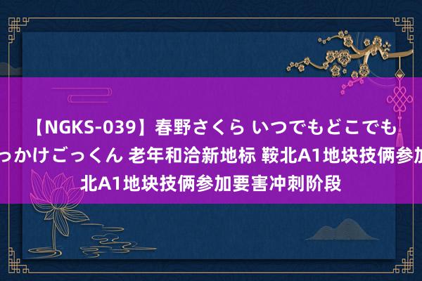 【NGKS-039】春野さくら いつでもどこでも24時間、初ぶっかけごっくん 老年和洽新地标 鞍北A1地块技俩参加要害冲刺阶段