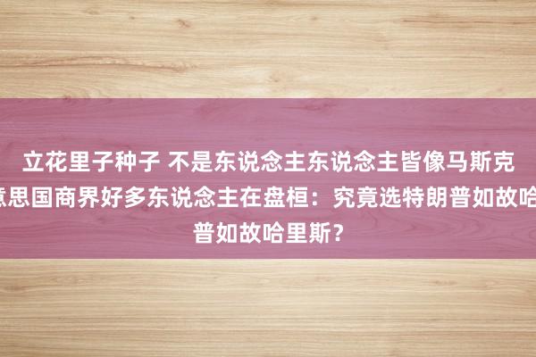 立花里子种子 不是东说念主东说念主皆像马斯克！好意思国商界好多东说念主在盘桓：究竟选特朗普如故哈里斯？