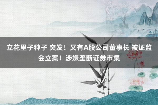 立花里子种子 突发！又有A股公司董事长 被证监会立案！涉嫌垄断证券市集