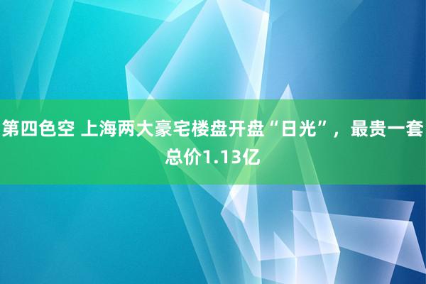 第四色空 上海两大豪宅楼盘开盘“日光”，最贵一套总价1.13亿