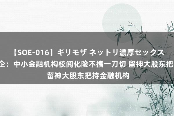 【SOE-016】ギリモザ ネットリ濃厚セックス Ami 肖远企：中小金融机构校阅化险不搞一刀切 留神大股东把持金融机构