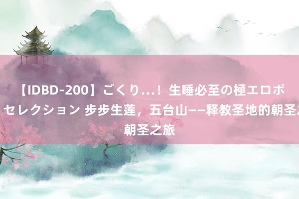 【IDBD-200】ごくり…！生唾必至の極エロボディセレクション 步步生莲，五台山——释教圣地的朝圣之旅