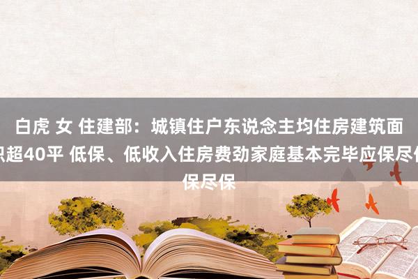 白虎 女 住建部：城镇住户东说念主均住房建筑面积超40平 低保、低收入住房费劲家庭基本完毕应保尽保