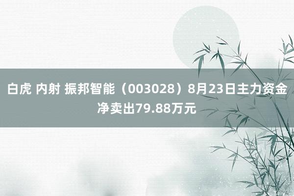 白虎 内射 振邦智能（003028）8月23日主力资金净卖出79.88万元