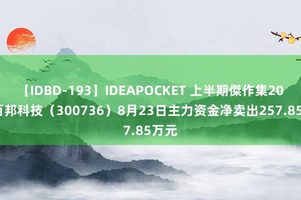 【IDBD-193】IDEAPOCKET 上半期傑作集2009 百邦科技（300736）8月23日主力资金净卖出257.85万元