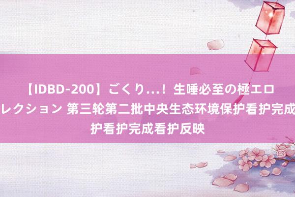 【IDBD-200】ごくり…！生唾必至の極エロボディセレクション 第三轮第二批中央生态环境保护看护完成看护反映